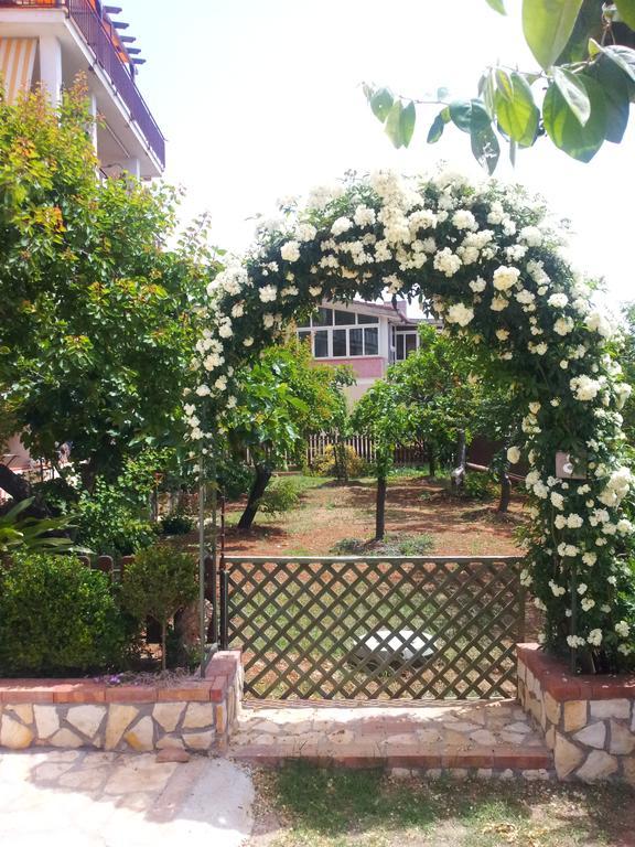 Casa Orizzonte Vakantiehuis Marina di Camerota
