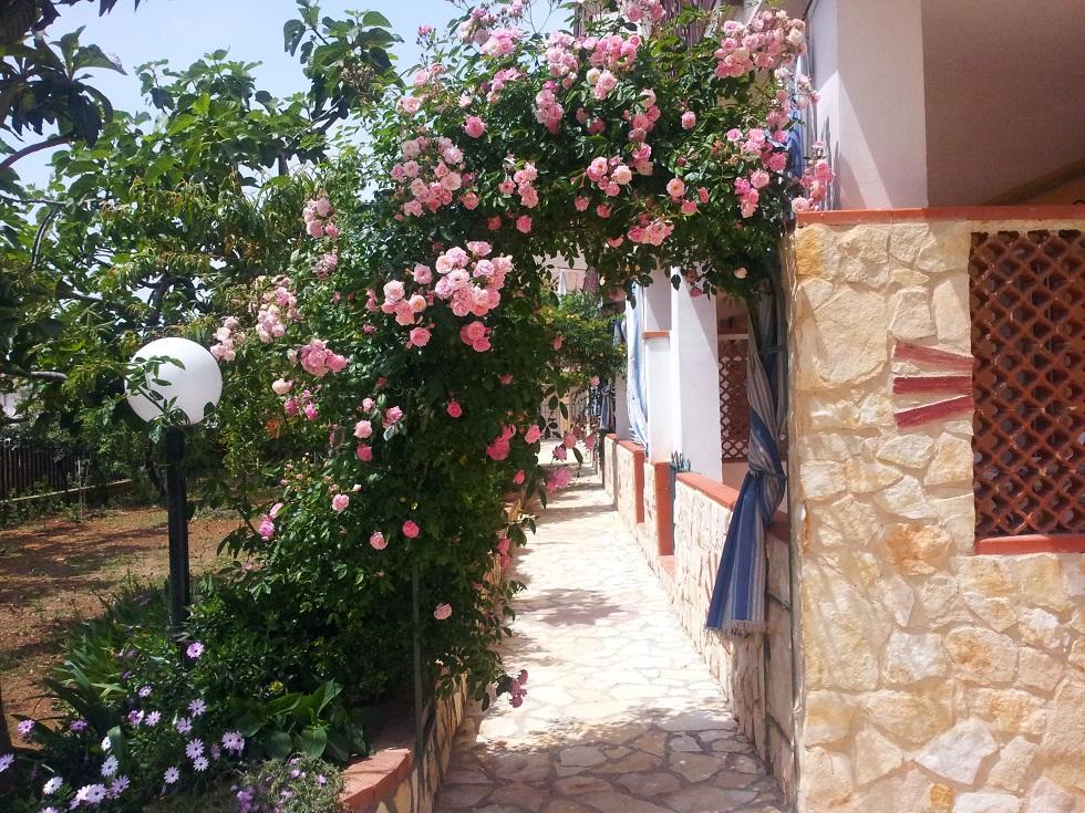 Casa Vacanza Orizzonte Holiday home Marina di Camerota